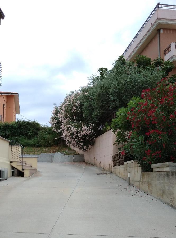 Via Mediterraneo 39 Casa Vacanze 佩塔恰托 外观 照片